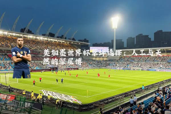 美加墨世界杯草坪选择：人工与天然的深层博弈