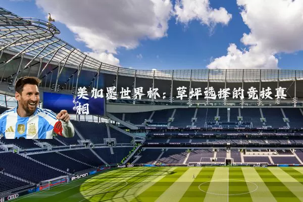 美加墨世界杯：草坪选择的竞技真相